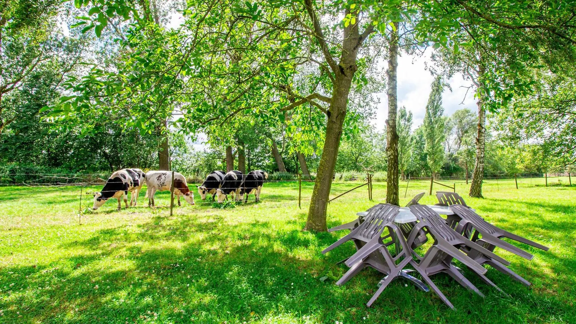 Sweet-Renoir, Calme, Parking Prive Apartment Roeser